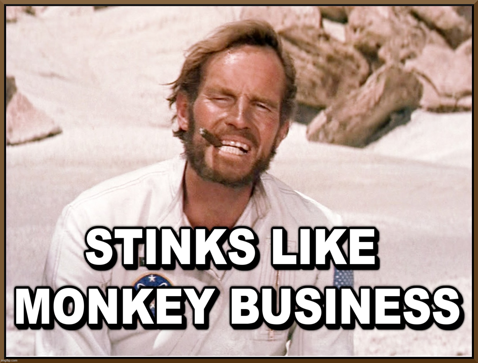 STINKS LIKE ... | STINKS LIKE MONKEY BUSINESS | image tagged in stinks,monkey business,monkey,business,charlton heston,planet of the apes | made w/ Imgflip meme maker