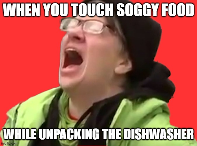 mushy food | WHEN YOU TOUCH SOGGY FOOD; WHILE UNPACKING THE DISHWASHER | image tagged in screaming liberal,dishwasher,damn | made w/ Imgflip meme maker