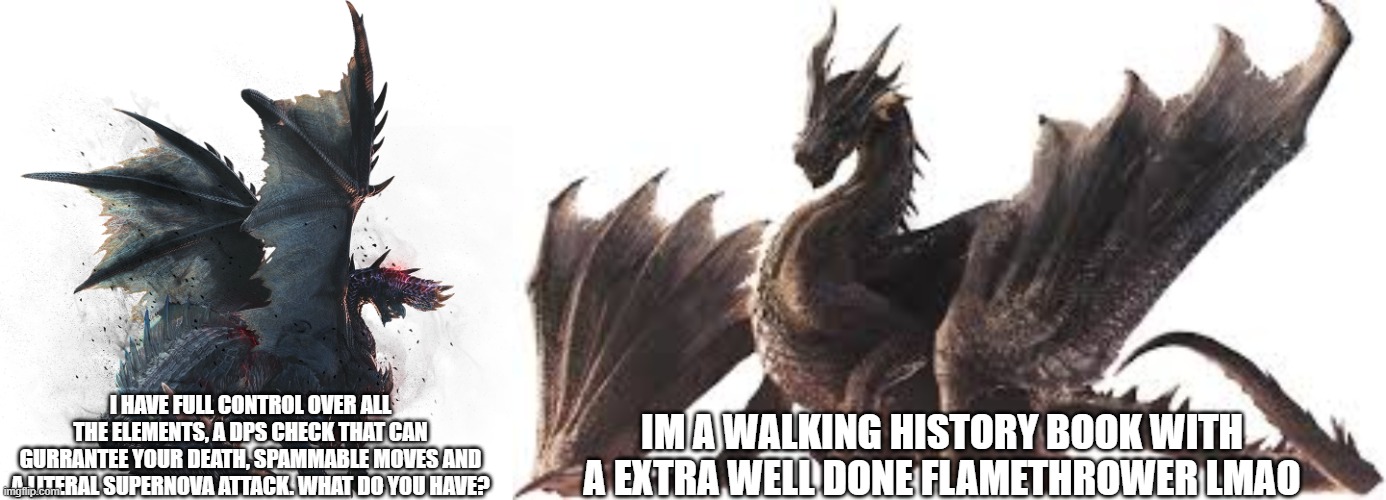 I HAVE FULL CONTROL OVER ALL THE ELEMENTS, A DPS CHECK THAT CAN GURRANTEE YOUR DEATH, SPAMMABLE MOVES AND A LITERAL SUPERNOVA ATTACK. WHAT DO YOU HAVE? IM A WALKING HISTORY BOOK WITH A EXTRA WELL DONE FLAMETHROWER LMAO | image tagged in monster hunter | made w/ Imgflip meme maker