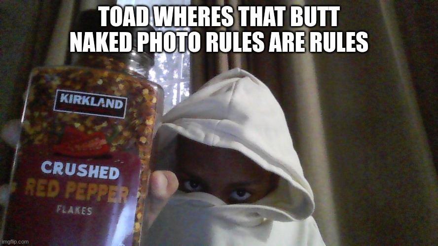 Crushed red pepper flakes | TOAD WHERES THAT BUTT NAKED PHOTO RULES ARE RULES | image tagged in crushed red pepper flakes | made w/ Imgflip meme maker