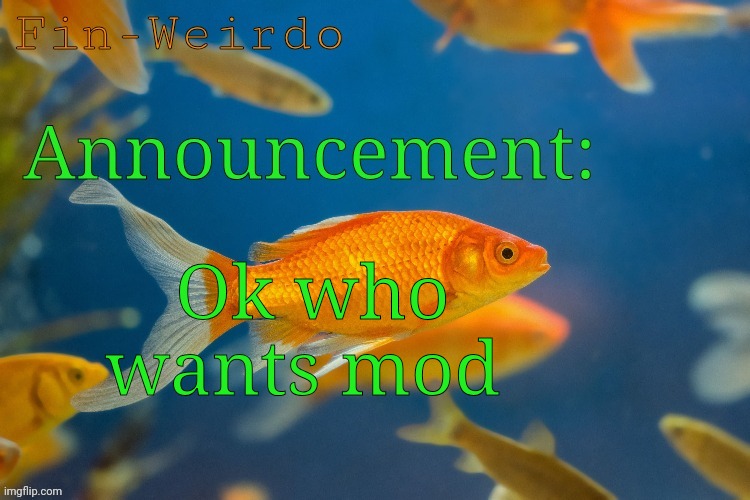 Fin-werido announcement temp | Ok who wants mod | image tagged in fin-werido announcement temp | made w/ Imgflip meme maker