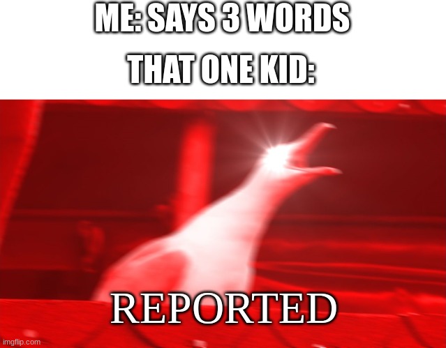 Roadblocks meme | ME: SAYS 3 WORDS; THAT ONE KID:; REPORTED | image tagged in angry seagull | made w/ Imgflip meme maker