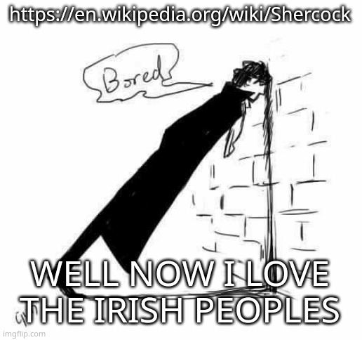 THEY NAMED A WHOLE FUCKING TOWN "SHERCOCK" I LOVE YALL SM NOW | https://en.wikipedia.org/wiki/Shercock; WELL NOW I LOVE THE IRISH PEOPLES | image tagged in bored | made w/ Imgflip meme maker