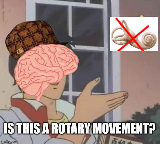 Vertigo | IS THIS A ROTARY MOVEMENT? | image tagged in memes,is this a pigeon,medicine | made w/ Imgflip meme maker