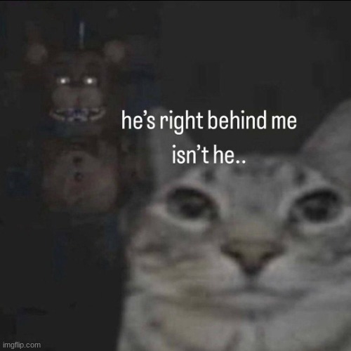 He’s right behind me, isn’t he? | image tagged in he s right behind me isn t he | made w/ Imgflip meme maker