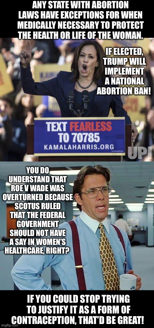 National Abortion Ban | ANY STATE WITH ABORTION LAWS HAVE EXCEPTIONS FOR WHEN MEDICALLY NECESSARY TO PROTECT THE HEALTH OR LIFE OF THE WOMAN. IF ELECTED, TRUMP WILL IMPLEMENT A NATIONAL ABORTION BAN! YOU DO UNDERSTAND THAT ROE V WADE WAS OVERTURNED BECAUSE SCOTUS RULED THAT THE FEDERAL GOVERNMENT SHOULD NOT HAVE A SAY IN WOMEN’S HEALTHCARE, RIGHT? IF YOU COULD STOP TRYING TO JUSTIFY IT AS A FORM OF CONTRACEPTION, THAT’D BE GREAT! | image tagged in that'd be great,kamala harris,abortion | made w/ Imgflip meme maker