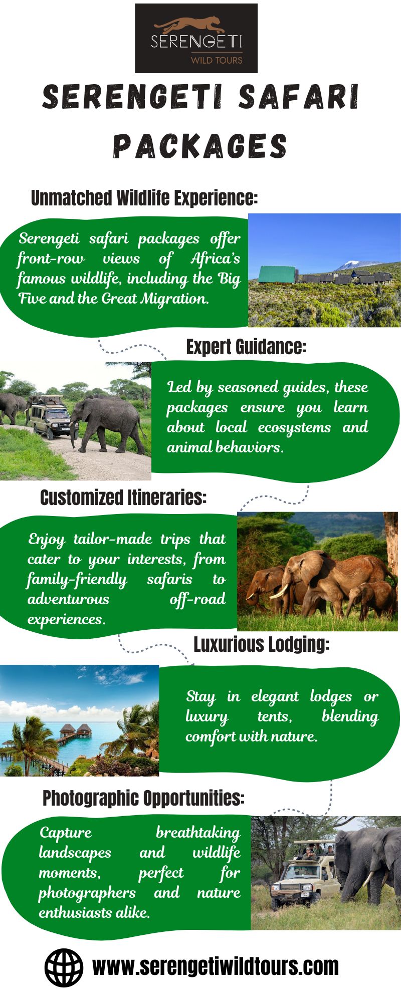 Serengeti Safari Packages Blank Meme Template