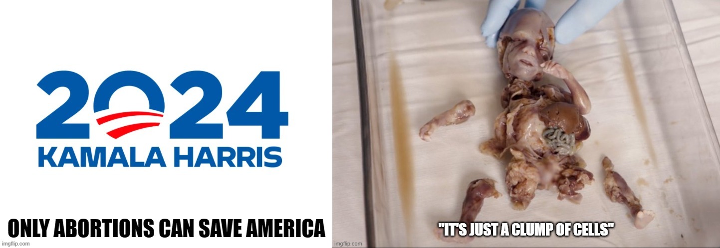 Only Abortions can save America | image tagged in kamala harris,abortion,abortion is murder | made w/ Imgflip meme maker