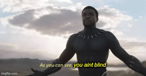 As you can see, you ain’t blind | you aint; blind | image tagged in as you can see i am not dead,open your eyes,black panther,chadwick boseman,see | made w/ Imgflip meme maker