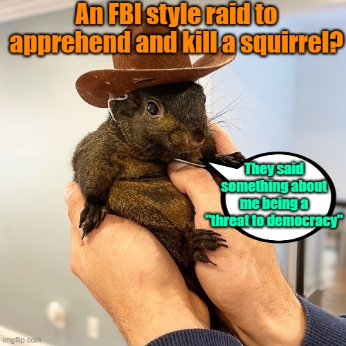 Hope you're in a better place Peanut | An FBI style raid to apprehend and kill a squirrel? They said something about me being a "threat to democracy" | image tagged in trump,maga,kamala harris,election,squirrel,gestapo | made w/ Imgflip meme maker