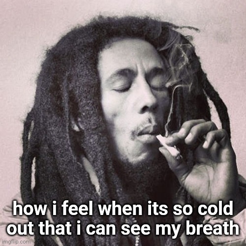 Bob Marley smoking joint | how i feel when its so cold out that i can see my breath | image tagged in bob marley smoking joint | made w/ Imgflip meme maker