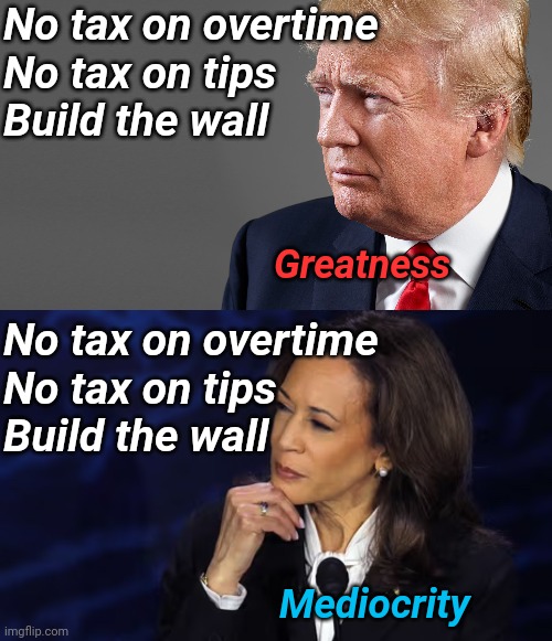 "Imitation is the sincerest form of flattery that mediocrity can pay to GREATNESS" - Oscar Wilde | No tax on overtime
No tax on tips
Build the wall; Greatness; No tax on overtime
No tax on tips
Build the wall; Mediocrity | image tagged in president trump,kamala harris chin pose,trump immigration policy,policy,taxes,copycat | made w/ Imgflip meme maker