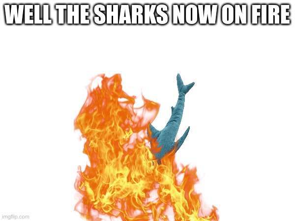 WELL THE SHARKS NOW ON FIRE | made w/ Imgflip meme maker