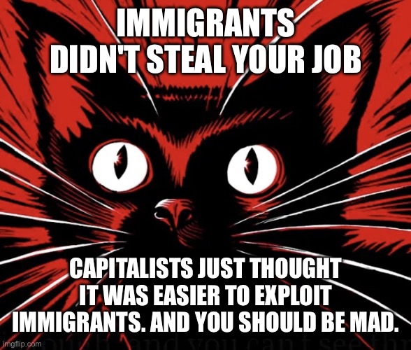 I'm mad too | IMMIGRANTS DIDN'T STEAL YOUR JOB; CAPITALISTS JUST THOUGHT IT WAS EASIER TO EXPLOIT IMMIGRANTS. AND YOU SHOULD BE MAD. | image tagged in sabo tabby cat,immigrants,capitalism | made w/ Imgflip meme maker