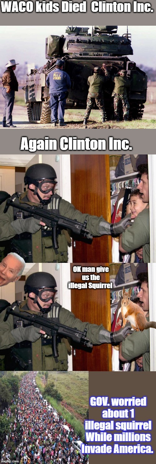 Illegal squirrels are the DEMS big concern ,not the human invasion at the border. | made w/ Imgflip meme maker
