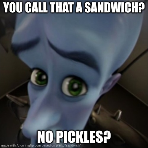 me at jimmy johns | YOU CALL THAT A SANDWICH? NO PICKLES? | image tagged in megamind peeking | made w/ Imgflip meme maker