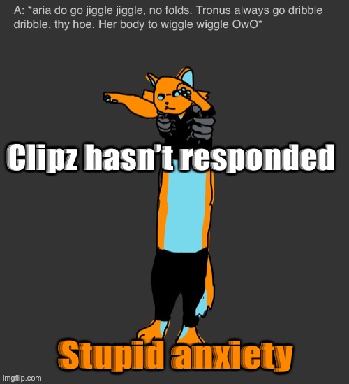 Aria The Longcat | Clipz hasn’t responded; Stupid anxiety | image tagged in aria the longcat | made w/ Imgflip meme maker