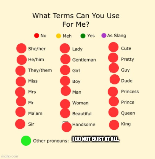 Pronouns Sheet | I DO NOT EXIST AT ALL. | image tagged in pronouns sheet | made w/ Imgflip meme maker