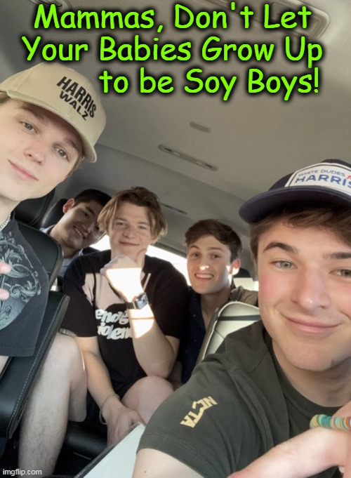 It's All About The "T"... | Mammas, Don't Let 
Your Babies Grow Up 
        to be Soy Boys! | image tagged in kamala harris,tim walz,low t,soyboys,girly men,political humor | made w/ Imgflip meme maker