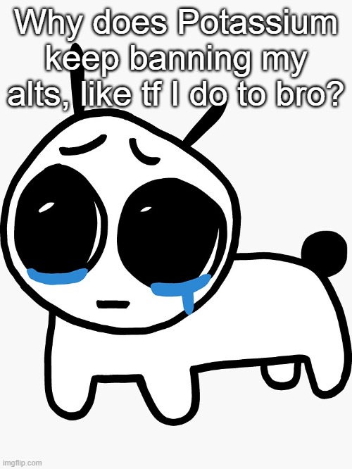 Sad yippee | Why does Potassium keep banning my alts, like tf I do to bro? | image tagged in sad yippee | made w/ Imgflip meme maker