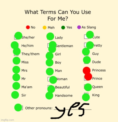 Pronouns Sheet | image tagged in pronouns sheet | made w/ Imgflip meme maker