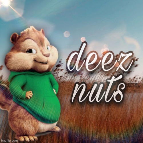deez nutz | image tagged in deez nutz | made w/ Imgflip meme maker
