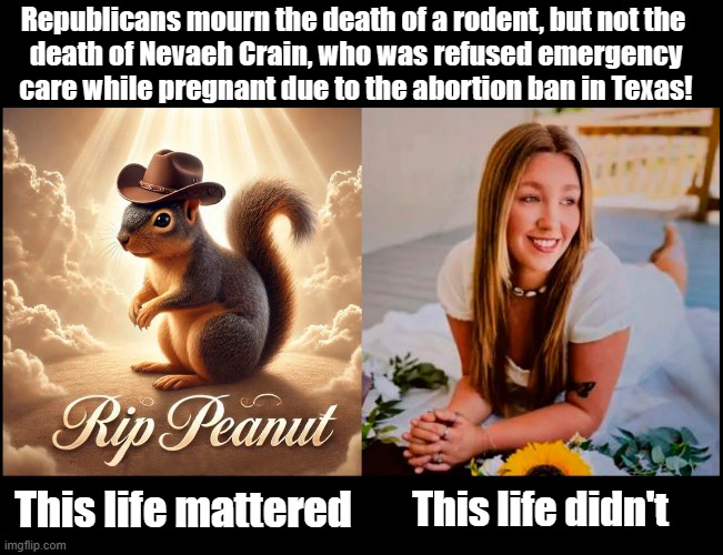 Republicans care more about a rabid rodent than a pregnant teenager! Vote Democrat! | Republicans mourn the death of a rodent, but not the 
death of Nevaeh Crain, who was refused emergency
care while pregnant due to the abortion ban in Texas! This life mattered; This life didn't | image tagged in scumbag republicans,abortion,ban,democrats,election 2024 | made w/ Imgflip meme maker