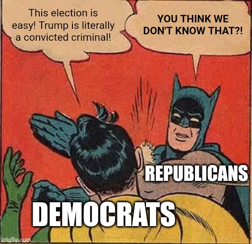 We know, and we don't care | This election is easy! Trump is literally a convicted criminal! YOU THINK WE DON'T KNOW THAT?! REPUBLICANS; DEMOCRATS | image tagged in memes,batman slapping robin | made w/ Imgflip meme maker