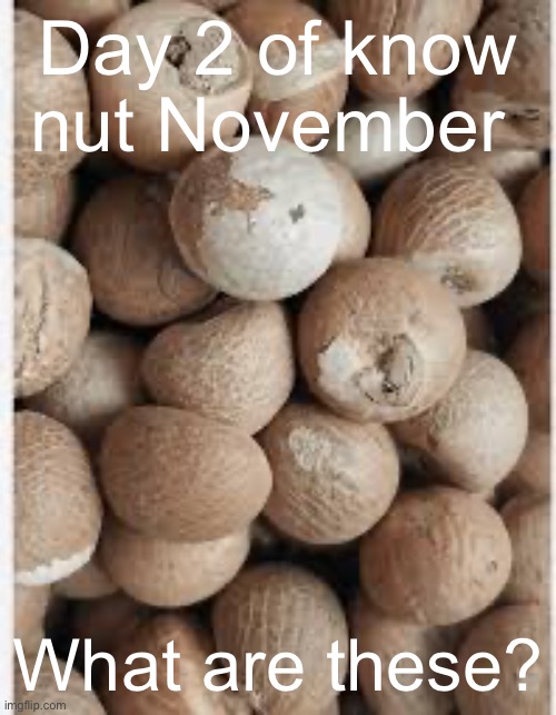 Day 2 of know nut November; What are these? | made w/ Imgflip meme maker