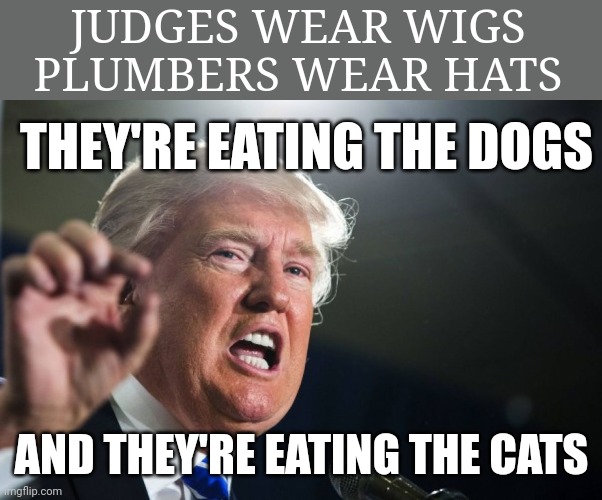 Proud to support the "Orange Hitler" | JUDGES WEAR WIGS
PLUMBERS WEAR HATS; THEY'RE EATING THE DOGS; AND THEY'RE EATING THE CATS | image tagged in donald trump,trump 2024,go trump or go home | made w/ Imgflip meme maker