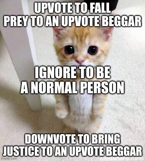 I just wanna do this for no reson | UPVOTE TO FALL PREY TO AN UPVOTE BEGGAR; IGNORE TO BE A NORMAL PERSON; DOWNVOTE TO BRING JUSTICE TO AN UPVOTE BEGGAR | image tagged in memes,cute cat | made w/ Imgflip meme maker