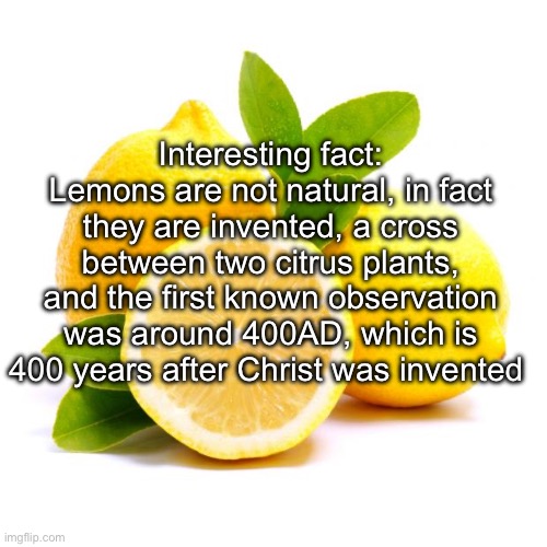 when lif gives you lemons | Interesting fact: Lemons are not natural, in fact they are invented, a cross between two citrus plants, and the first known observation was around 400AD, which is 400 years after Christ was invented | image tagged in when lif gives you lemons,memes | made w/ Imgflip meme maker