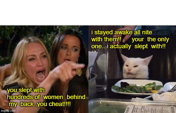 cheater | i stayed awake all nite  with them!!      your  the only one.. i actually  slept  with!! you slept with hundreds of  women  behind  my  back..you cheat!!!! | image tagged in memes,woman yelling at cat | made w/ Imgflip meme maker