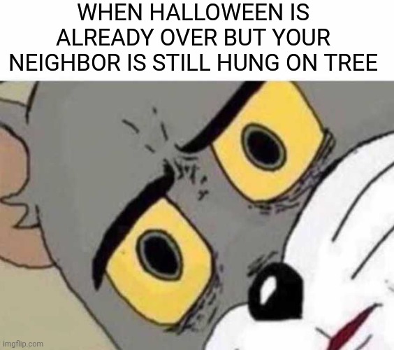 Wait... | WHEN HALLOWEEN IS ALREADY OVER BUT YOUR NEIGHBOR IS STILL HUNG ON TREE | image tagged in tom cat unsettled close up,happy halloween,halloween | made w/ Imgflip meme maker