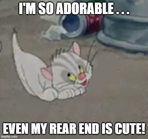 Bad Luck Blackie cute kitten 2 | image tagged in bad luck blackie,kitten,cartoon,cute kitty | made w/ Imgflip meme maker