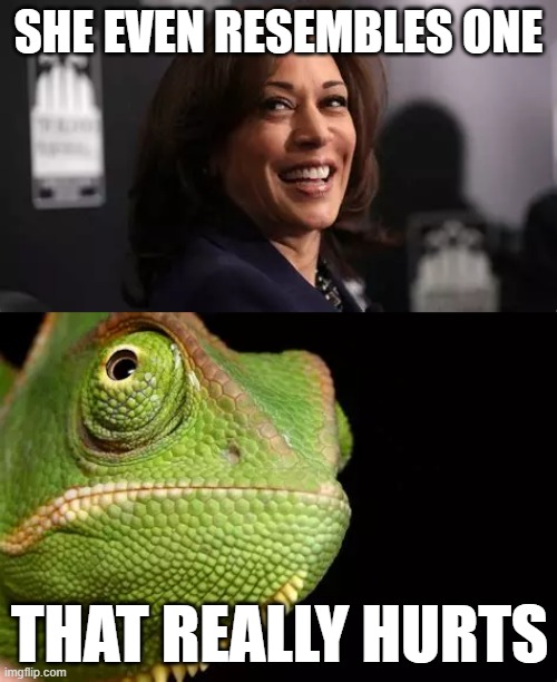 Harris Chameleon | SHE EVEN RESEMBLES ONE; THAT REALLY HURTS | made w/ Imgflip meme maker