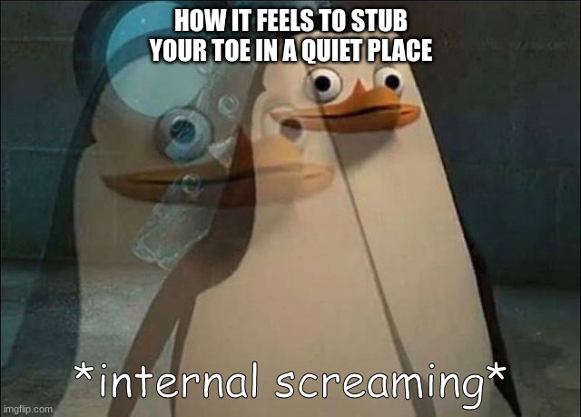 People who watched A Quiet Place would get this. | HOW IT FEELS TO STUB YOUR TOE IN A QUIET PLACE | image tagged in private internal screaming | made w/ Imgflip meme maker