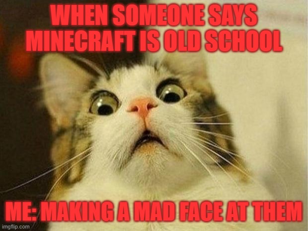 this is so true 4 me | WHEN SOMEONE SAYS MINECRAFT IS OLD SCHOOL; ME: MAKING A MAD FACE AT THEM | image tagged in memes,scared cat | made w/ Imgflip meme maker