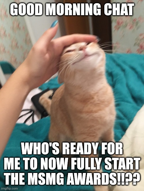 :3 | GOOD MORNING CHAT; WHO'S READY FOR ME TO NOW FULLY START THE MSMG AWARDS!!?? | image tagged in cat pat | made w/ Imgflip meme maker