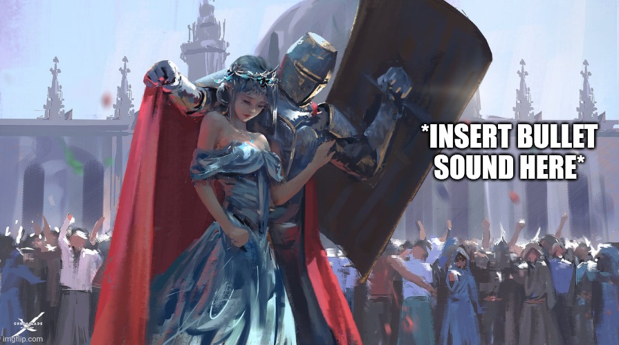 Knight Protecting Princess | *INSERT BULLET SOUND HERE* | image tagged in knight protecting princess | made w/ Imgflip meme maker
