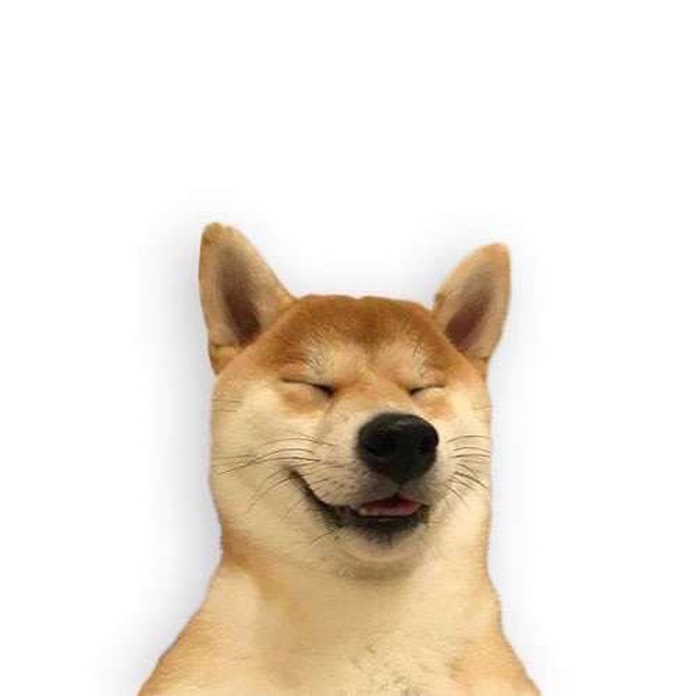 hahadog Blank Meme Template