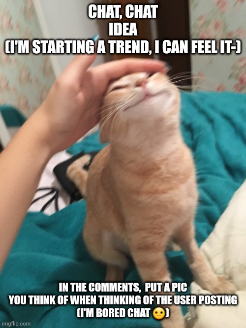 :3 | CHAT, CHAT
IDEA
(I'M STARTING A TREND, I CAN FEEL IT-); IN THE COMMENTS,  PUT A PIC YOU THINK OF WHEN THINKING OF THE USER POSTING
(I'M BORED CHAT 😐) | image tagged in cat pat | made w/ Imgflip meme maker