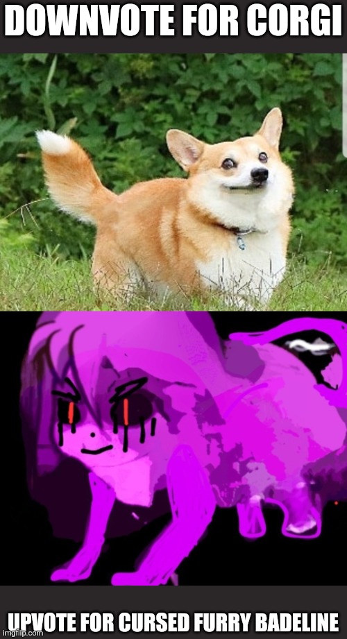 How many people will downvote | DOWNVOTE FOR CORGI; UPVOTE FOR CURSED FURRY BADELINE | image tagged in ok boomer corgi,demonic cursed furry badeline,downvote,begging | made w/ Imgflip meme maker