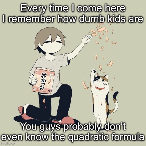 Avogado6 | Every time I come here I remember how dumb kids are; You guys probably don’t even know the quadratic formula | image tagged in avogado6 | made w/ Imgflip meme maker