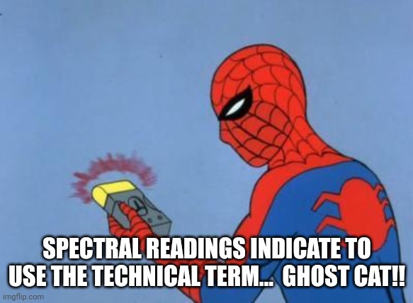 spiderman detector | SPECTRAL READINGS INDICATE TO USE THE TECHNICAL TERM...  GHOST CAT!! | image tagged in spiderman detector | made w/ Imgflip meme maker