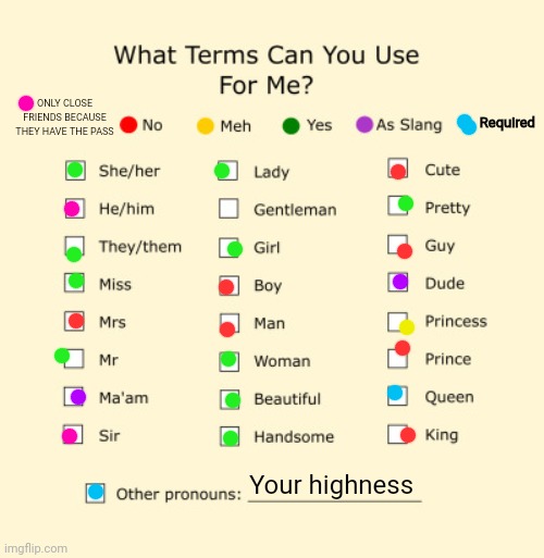 Pronouns Sheet | Required; ONLY CLOSE FRIENDS BECAUSE THEY HAVE THE PASS; Your highness | image tagged in pronouns sheet | made w/ Imgflip meme maker