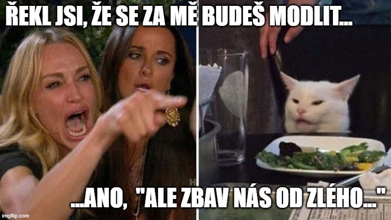Woman yelling at white cat | ŘEKL JSI, ŽE SE ZA MĚ BUDEŠ MODLIT... ...ANO,  "ALE ZBAV NÁS OD ZLÉHO..." | image tagged in woman yelling at white cat | made w/ Imgflip meme maker