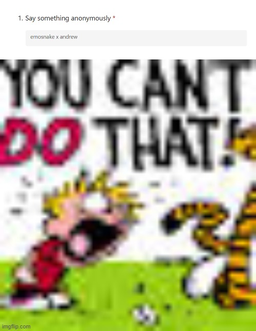 image tagged in calvin and hobbes you can't do that | made w/ Imgflip meme maker