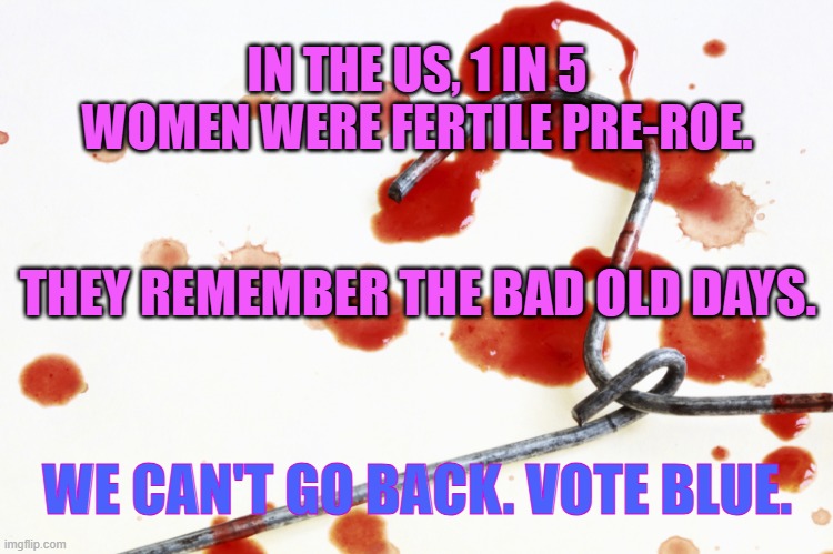 We Can't Go Back | IN THE US, 1 IN 5 WOMEN WERE FERTILE PRE-ROE. THEY REMEMBER THE BAD OLD DAYS. WE CAN'T GO BACK. VOTE BLUE. | image tagged in bloody coat hanger | made w/ Imgflip meme maker