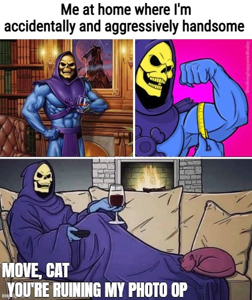 MOVE, CAT; YOU'RE RUINING MY PHOTO OP | image tagged in skeletor,funny | made w/ Imgflip meme maker